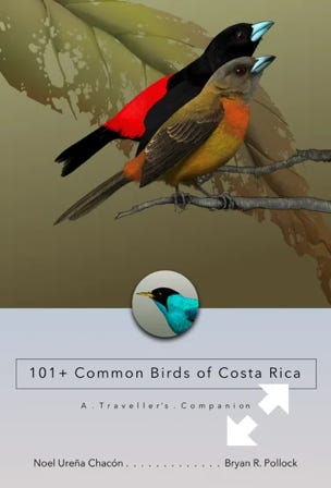 Cover of 101+ common birds of costa rica, Scarlet-rumped Tanager,