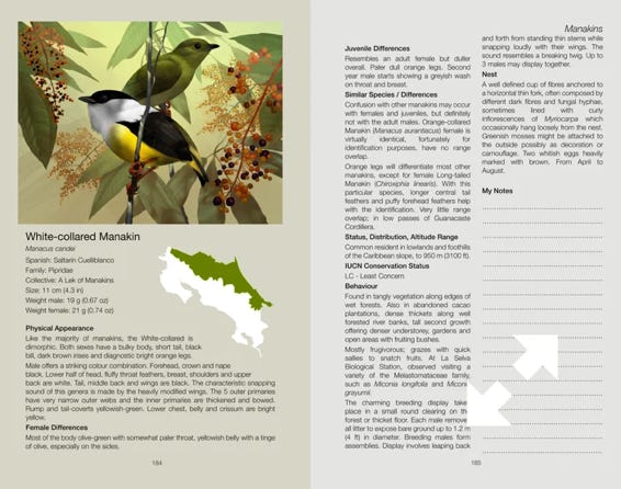 101+common birds of costa rica book
